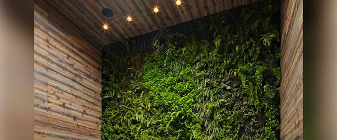 Studymode simple essay on clean and green environment in goa 02 image