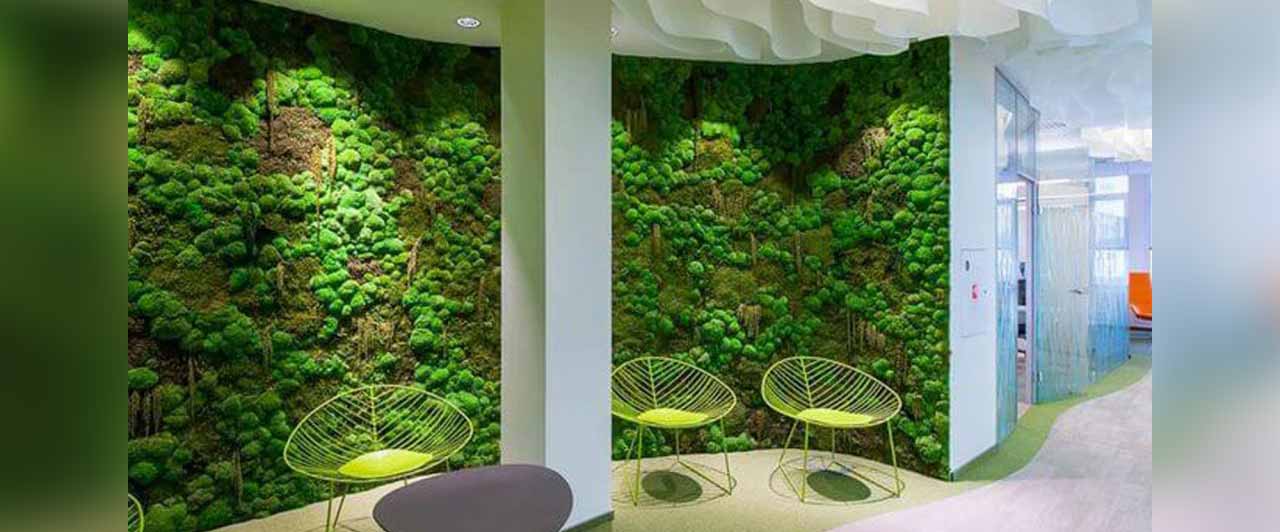 Studymode simple essay on clean and green environment in goa picture