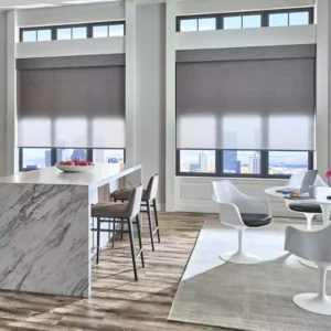 Designer roller shades for Kerala living room interiors