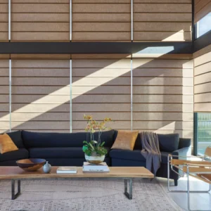 Designer roller shades for Kerala living room interiors