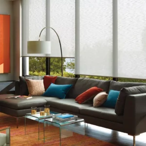 Designer roller shades for Kerala living room interiors